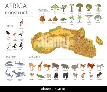 Flat 3d isometric Africa flora and fauna map constructor elements. Animals, birds and sea life isolated on white big set. Build your own geography inf Stock Vector