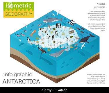 Isometric 3d Antarctica flora and fauna map elements. Animals, birds and sea life. Build your own geography infographics collection. Vector illustrati Stock Vector