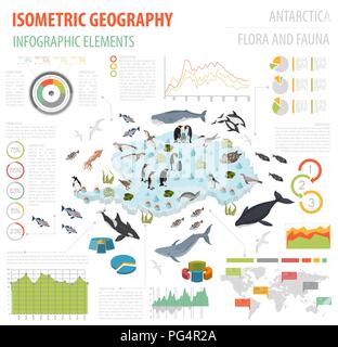 Isometric 3d Antarctica flora and fauna map elements. Animals, birds and sea life. Build your own geography infographics collection. Vector illustrati Stock Vector