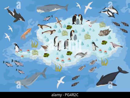 Isometric 3d Antarctica flora and fauna map elements. Animals, birds and sea life. Build your own geography infographics collection. Vector illustrati Stock Vector