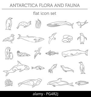 Flat Antarctica flora and fauna  elements. Animals, birds and sea life simple line icon set. Vector illustration Stock Vector