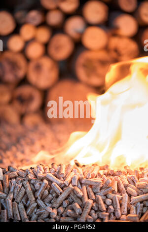 Home heathing - wooden pellets in fire in front pile of wood Stock Photo