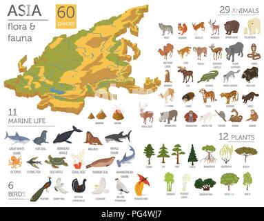 Isometric 3d Asian flora and fauna map constructor elements. Animals ...