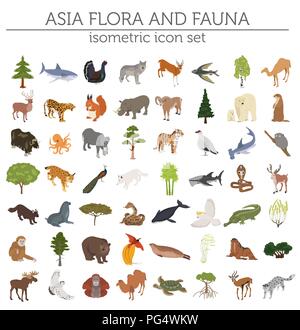 Isometric 3d Asian flora and fauna map constructor elements. Animals ...