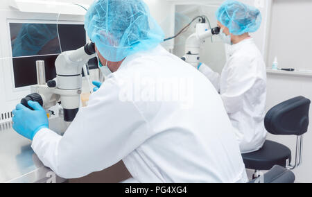 Two lab technicians or scientists working in laboratory Stock Photo