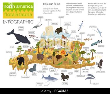 Isometric 3d North America flora and fauna map elements. Animals, birds and sea life. Build your own geography infographics collection. Vector illustr Stock Vector