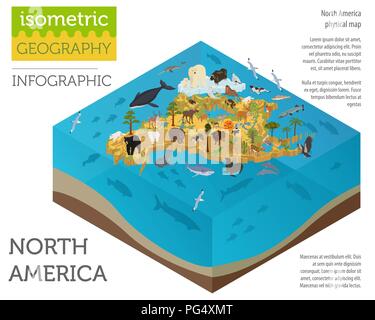 Isometric 3d North America flora and fauna map elements. Animals, birds and sea life. Build your own geography infographics collection. Vector illustr Stock Vector