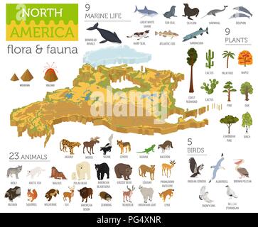 Isometric 3d North America flora and fauna map elements. Animals, birds and sea life. Build your own geography infographics collection. Vector illustr Stock Vector