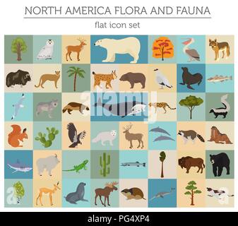North America flora and fauna flat elements. Animals, birds and sea life big set. Build your geography infographics collection. Vector illustration Stock Vector