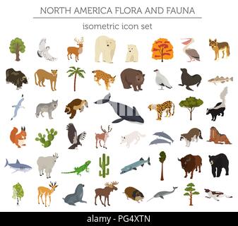 Isometric 3d North America flora and fauna map elements. Animals, birds ...