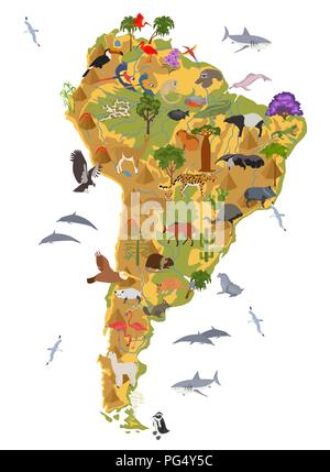 South America flora and fauna map, flat elements. Animals, birds and sea life big set. Build your geography infographics collection. Vector illustrati Stock Vector