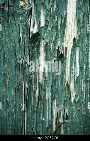 Detail of cracked and peeling green paint on an old wooden fence Stock Photo