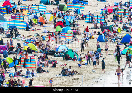 The popular Fistral Beach during the Summer holidays Cornwall. Stock Photo