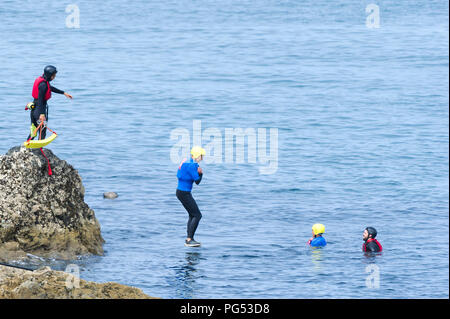 A Grey Seal watching holidaymakers coasteering on The Headland in Newquay, Cornwall. Stock Photo