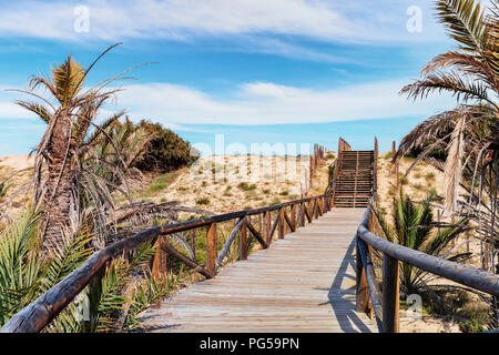 wooden path and stairs on sand dunes and palm trees for access to the beach Stock Photo