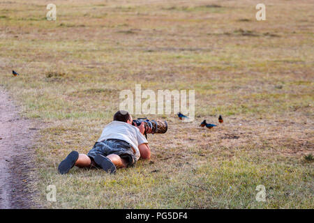 Nature photographer photographing birds lying down Stock Photo
