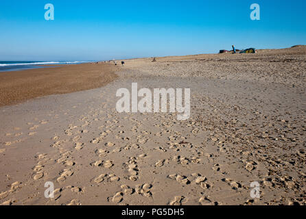 People walking  in the sunshine on the beach at Tarnos Plage, on the Bay of Biscay, Landes, Nouvelle-Aquitaine, France, Europe on Christmas Day Stock Photo