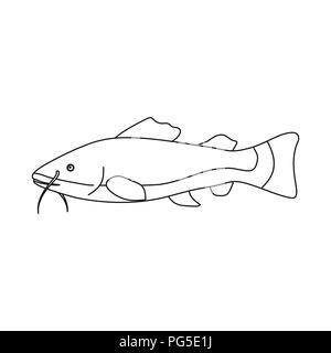 amazon,animal,aquarium,aquatic,background,beautiful,beauty,breed,bright,cartoon,catfish,cat-fish,colorful,colors,exotic,female,fin,fish,gray,habitat,icon,illustration,kind,life,living,logo,male,marine,mate,natural,nature,ocean,outline,partners,pretty,rare,river,salt,symbol,vector,web, Vector Vectors , Stock Vector