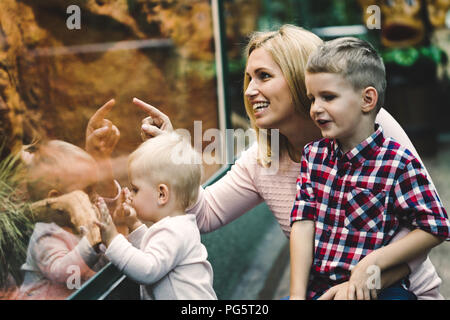 Mother with her sons looking at turtle in zoo Stock Photo