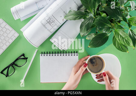 cropped image of female architect holding cup of coffee at table with textbook, blueprints and plant Stock Photo