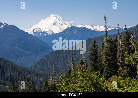 Clad with snow and glaciers, Mount Baker dominates view from the Yellow Aster Butte Trail off highway 542 in Washington State near Canadian  border Stock Photo