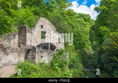 An abandoned water mill house amid trees and bushes in Jesmond Dene, Newcastle, England Stock Photo