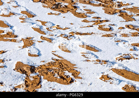 Light snow on a sandy beach in Margate, England, UK Stock Photo
