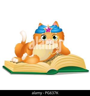 Smart cat reads book isolated on white background. Vector cartoon close-up illustration. Stock Vector