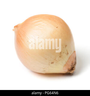 One rotten onion isolated on white background Stock Photo
