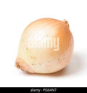 One rotten onion isolated on white background Stock Photo