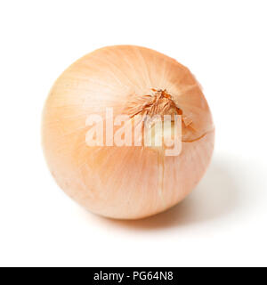 One rotten onion isolated on white background Stock Photo