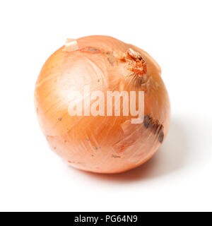One rotten onion isolated on white background Stock Photo