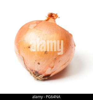 One rotten onion isolated on white background Stock Photo