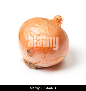 One rotten onion isolated on white background Stock Photo
