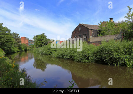 A section of The Five Weirs Walk by the River Don, Sheffield, South Yorkshire, England, UK. Stock Photo