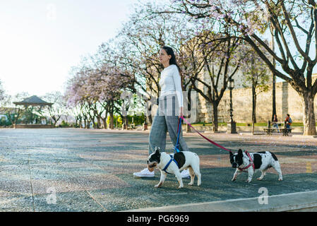 Spain, Andalusia, Jerez de la Frontera, Woman walking with two dogs on square Stock Photo