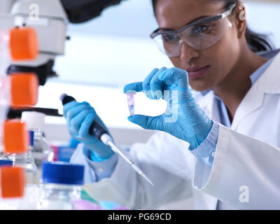 Genetic research, female scientist viewing sample in a eppendorf vial, analysis in the laboratory Stock Photo