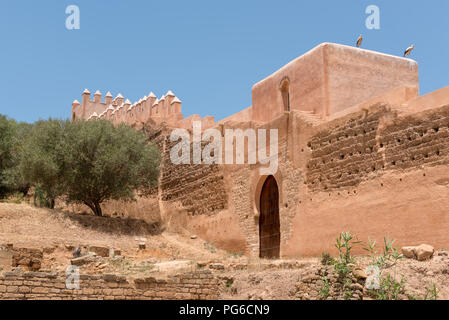 Walls of Chellah ancient necropolis and Roman settlement in Rabat, Morocco Stock Photo