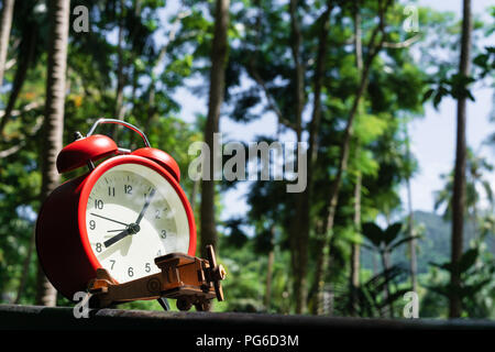 Wooden airplane model and red alarm clock on the wood with beautiful tropical forest background for nature travelling background concept. Stock Photo