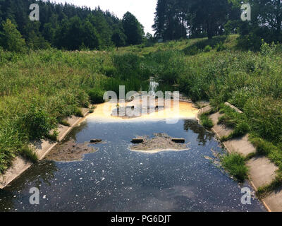 pollution - littered pond Stock Photo