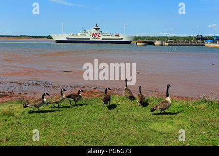 Wood Islands Ferry, Prince Edward Island, Canada Stock Photo