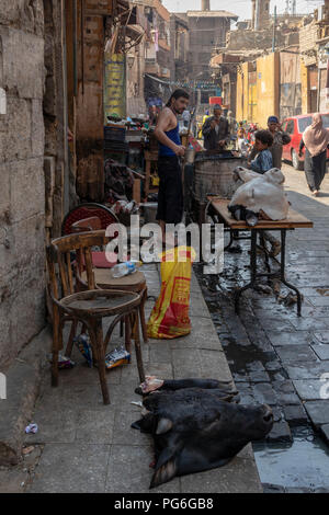 street butcher's shop with cattle heads during the Islamic eid holiday, , Cairo, Egypt Stock Photo