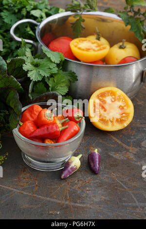 Fresh tomatoes and pepper in pot with parsley, mangold, coriander and different pepper, chile.  Rustic style. Stock Photo