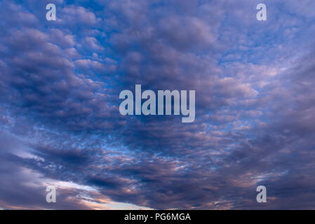 Large fleecy clouds (Altocumulus) at the evening sky, Bavaria, Germany Stock Photo