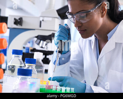 Genetic research, female scientist pipetting DNA or chemical sample into a eppendorf vial, analysis in the laboratory Stock Photo