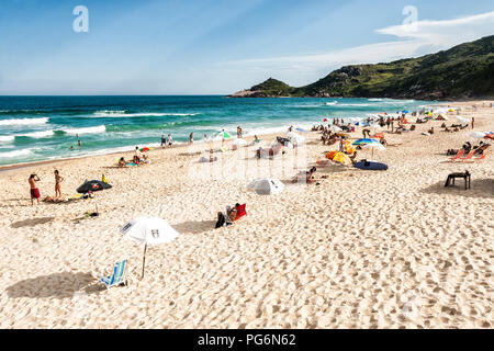 Mole Beach, one of the most crowded beaches of Island of Santa Catarina during summer season. Florianopolis, Santa Catarina, Brazil. Stock Photo