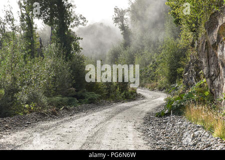 Gravel road in temperate rainforest with fog, at Puerto Río Tranquilo, Carretera Austral, Valle Exploradores Stock Photo