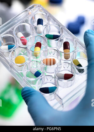 Pharmaceutical Research, Scientist holding a multi well plate containing drugs to be tested in the laboratory Stock Photo