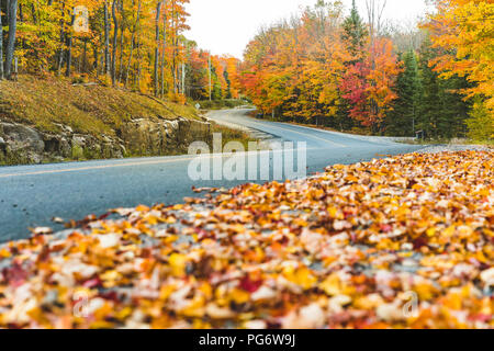 Canada, Ontario, main road through colorful trees in the Algonquin park area Stock Photo