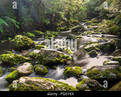 New Zealand, South Island, Tautuku River at Catlins Forest Park Stock Photo